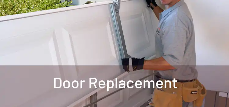  Door Replacement 