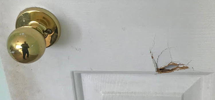 interior door hole repair Golden Hills